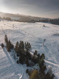 Limba - Ostoja Bukowinki