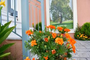 Studios Pantelis Corfu Greece