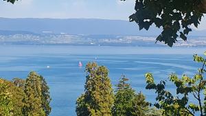 Appartements Appartement Cozy 2 Panoramique Lac Leman Thonon-Les-Bain : photos des chambres