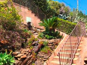 Appartements Villa les Alizes : photos des chambres