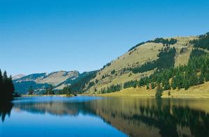 Les 4 Elements - Apt D104 - BO Immobilier- Châtel -Reduced prices on ski passes Châtel & Portes du Soleil