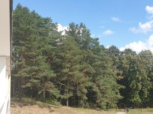 Garden Studio by the Lake with Air-Con and Infrasauna