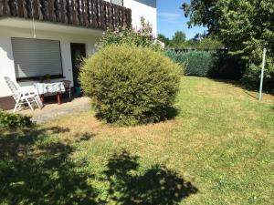 Vor den Toren Bambergs - Einfamilienhaus mit Garten!