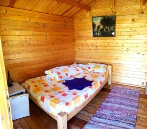 Retezat Retreat - wood cabin