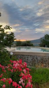 Family Hotel Belvedere