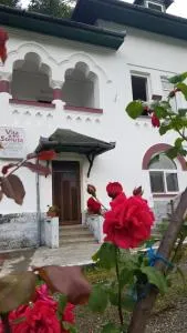 Vila Ana Lăcrămioara Concept - Căciulata