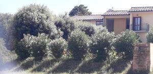Scacco Matto