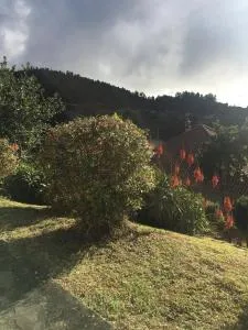 Bungalows Do Amparo - Ribeira da Vaca
