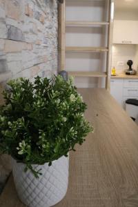 Studio apartman Chiara