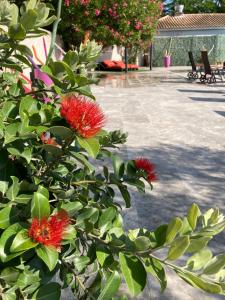 Hotels Logis Hotel Restaurant Les Aubuns : photos des chambres