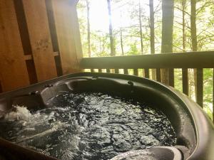 Bearadise - 4hvězdičkové hotely ve městě Townsend