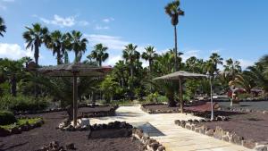 Oasis Royal 3 piscinas
