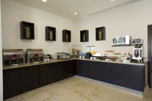 One Aguascalientes Sur