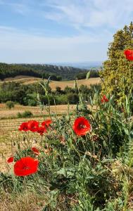 Maisons de vacances Le Mas des Fleurs Seguret : photos des chambres