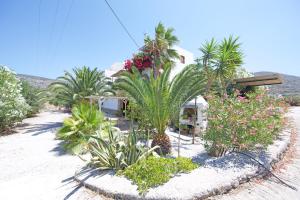 Villa Katapoliani No.3 Amorgos Greece