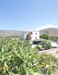 Villa Katapoliani No.3 Amorgos Greece