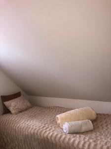 Apartament Łapacz Snów