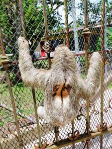 Villa San Antonio - El Valle de Anton