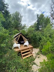 Campings Lodge en Pays Cathare : photos des chambres