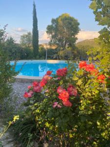 B&B / Chambres d'hotes Les Romarins : photos des chambres