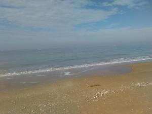 Appartements Honfleur-loft : photos des chambres