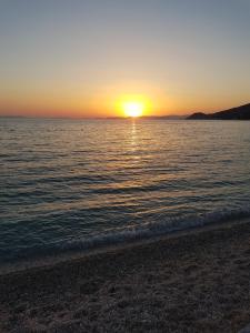 Apartments Garac