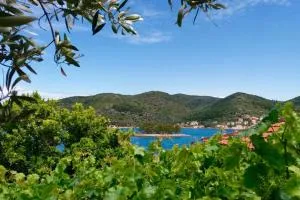 Selinofoto - A beautiful, traditional house in Vathy, Ithaca - Pisaëtós