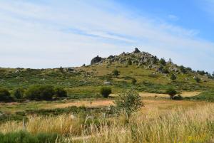 Maisons de vacances Gite Mont Lozere : photos des chambres