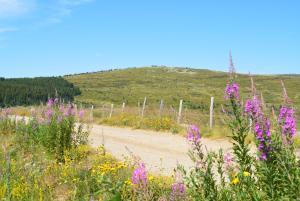 Maisons de vacances Gite Mont Lozere : photos des chambres