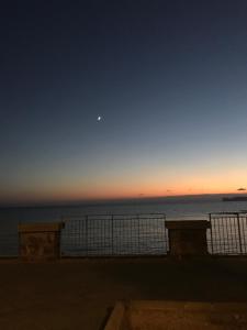 Alghero VitAlba img99