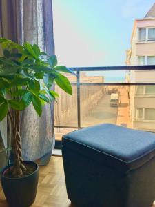 Rustig appartement met zeezicht dicht bij het centrum