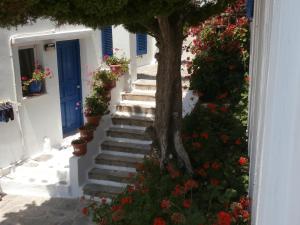 GALINI - BUNGALOWS -KIONIA Tinos Greece