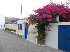 GALINI - BUNGALOWS -KIONIA Tinos Greece