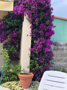 B&B / Chambres d'hotes Villa C3 Arthur Rimbaub chambre d’hote piscine proche mer plage 600m : photos des chambres