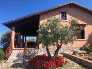  La Casa nel Vigneto, Pension in San Marco dʼAlunzio bei Galati Mamertino