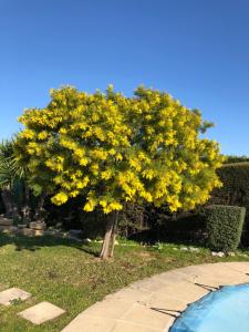 Villa C3 Arthur Rimbaub chambre d’hôte piscine proche mer plage 600m