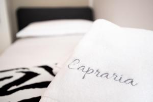 CAPRARIA appartments in historic center, with private parking 