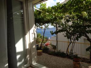 APARTMAN ZORAN MARUSIC