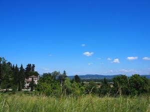 La Cardinale photo 24