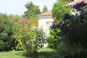 Maisons de vacances Le Clos des Vergers : photos des chambres