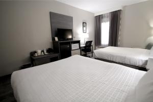 Queen Room with Two Queen Beds - Non-Smoking room in Baymont by Wyndham Lafayette - Purdue University