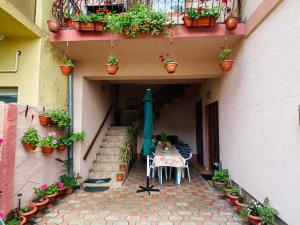 Amazing House Cazare