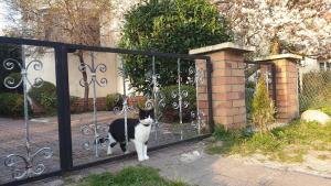 Zimmervermietung Koltermann