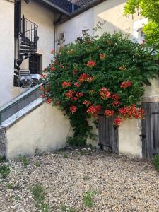 B&B / Chambres d'hotes Les chambres du Moulin : photos des chambres