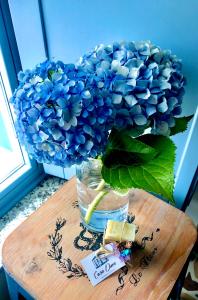 Apartamentos Turísticos Casa Dina