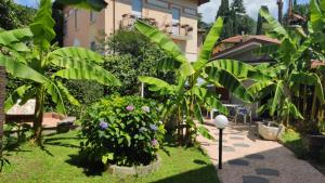 Il Caminetto di Mario