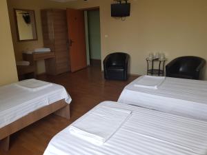 Triple Room with Shower room in Hotel Pandora Sport