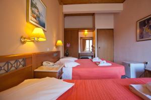 Acropole Delphi City Hotel Parnassos Greece