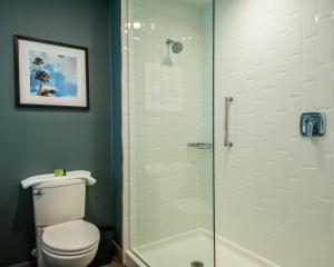 King Room - Disability Access/Non-Smoking room in Cambria Hotel Phoenix- North Scottsdale