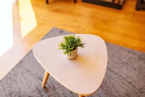 Madeira Offline by Amazing Madeira